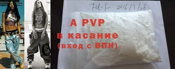 стафф Братск
