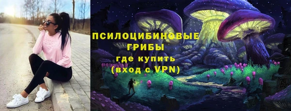 ECSTASY Ладушкин