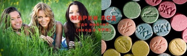 прущие крисы Лабытнанги