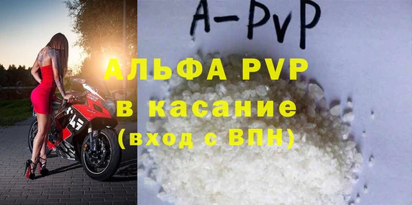 ECSTASY Ладушкин