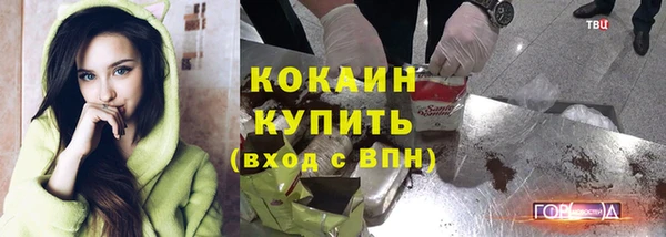 гашик Липки