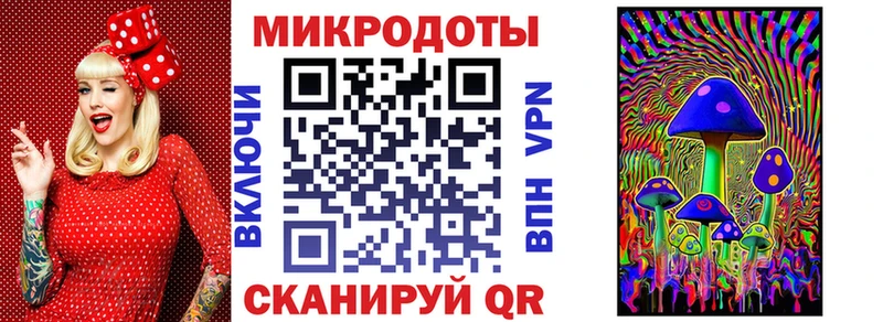 как найти наркотики  даркнет официальный сайт  Галлюциногенные грибы Psilocybine cubensis  Якутск 
