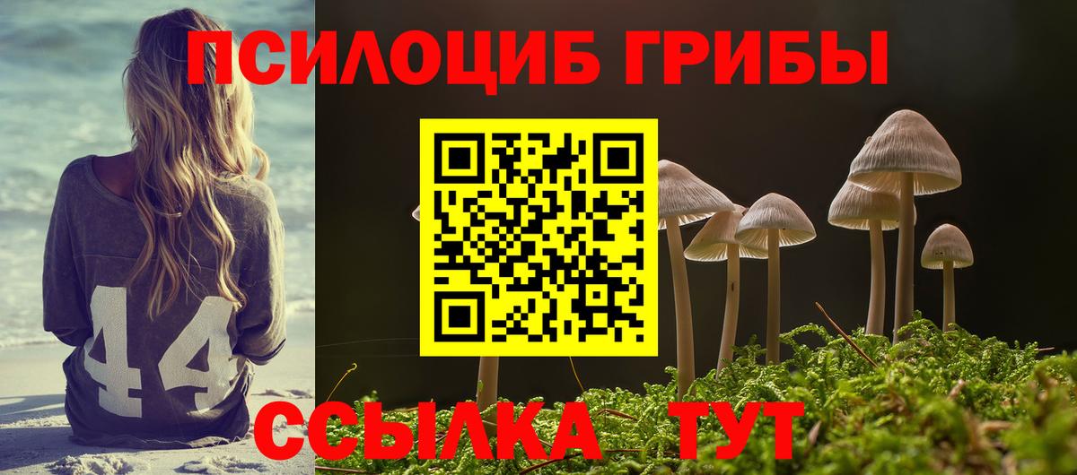 Псилоцибиновые грибы Psilocybe Якутск
