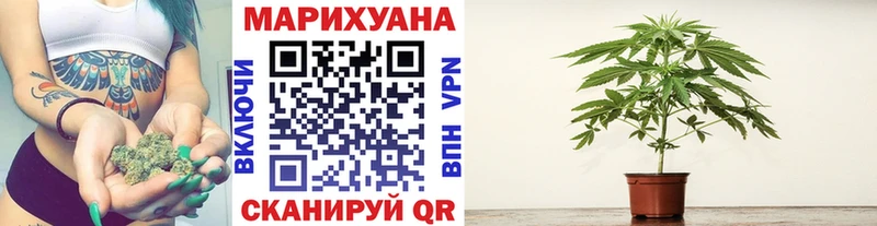 Бошки марихуана THC 21%  Якутск 